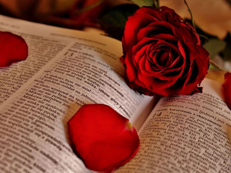 El Dios de amor y sus imposibles que nos dan protección ilimitada