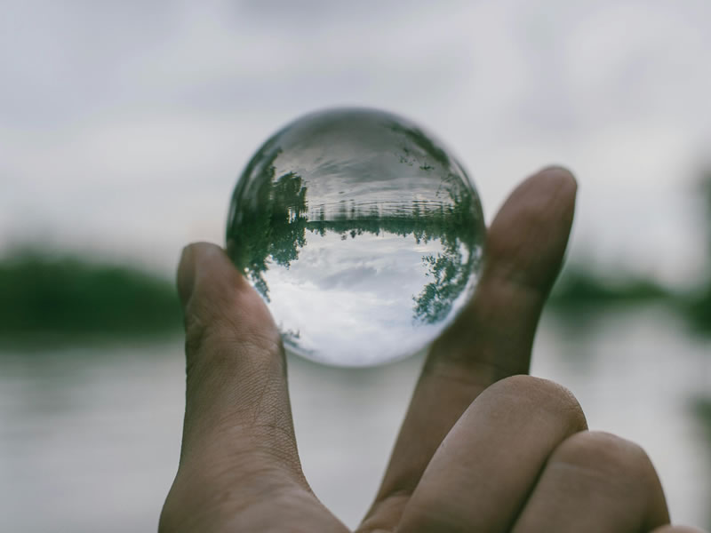 Metamorfosis significa cambiar de forma - Metamorfosis: transformación para mejora continua (1)